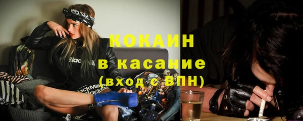 бошки Краснослободск
