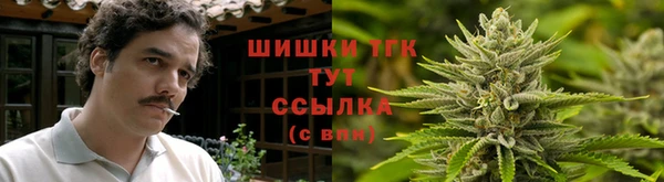 прущие грибы Краснотурьинск
