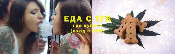 прущие грибы Краснотурьинск
