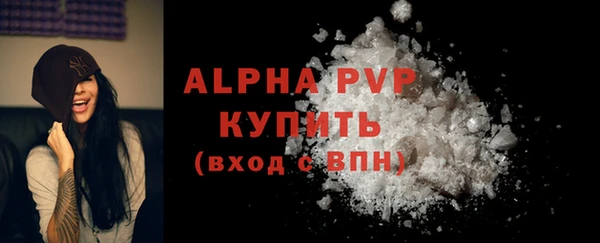 прущие грибы Краснотурьинск