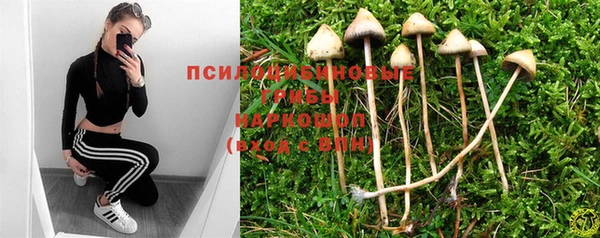 прущие грибы Краснотурьинск