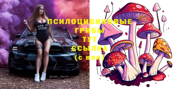 бошки Краснослободск