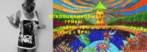 бошки Краснослободск
