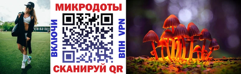Купить  Щёлкино  Псилоцибиновые грибы Cubensis 